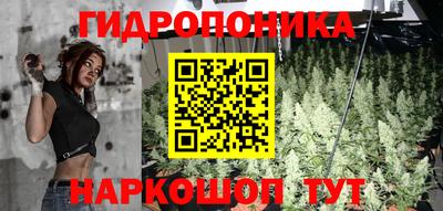 кокс Нарткала
