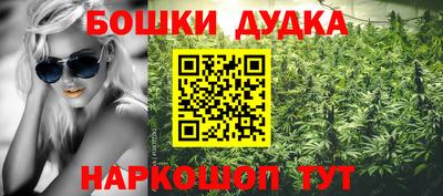 дмт Моздок