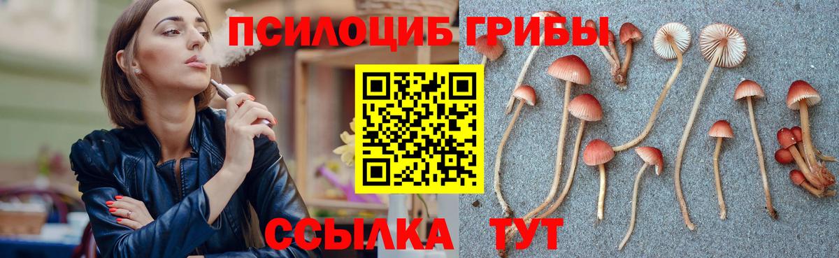Псилоцибиновые грибы MAGIC MUSHROOMS  Вход с VPN  Ступино 