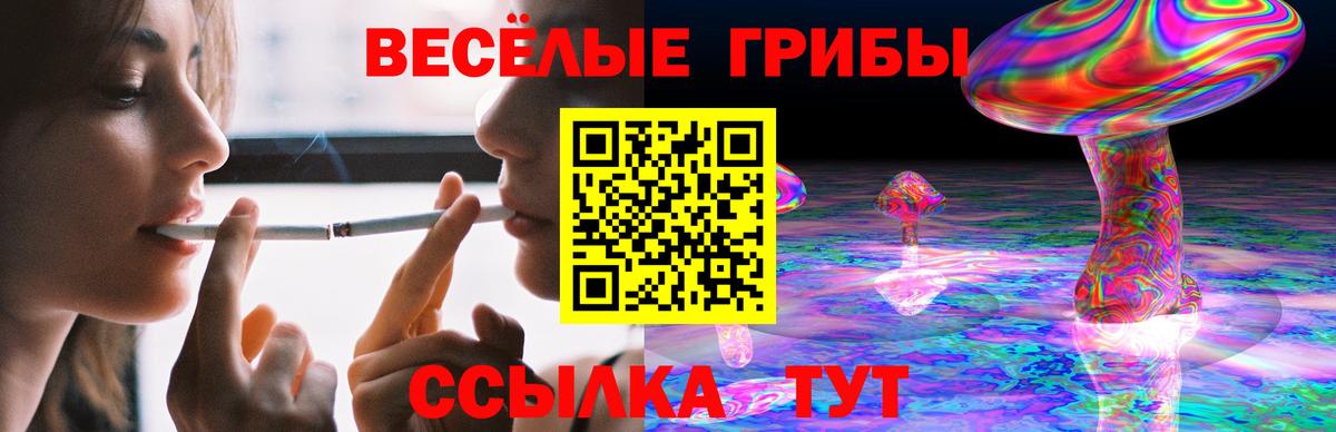 ЭКСТАЗИ  ГАШ  Alpha PVP СОЛЬ   Ступино  Каннабис  Вход с VPN  КОКАИН  Меф МЯУ МЯУ  